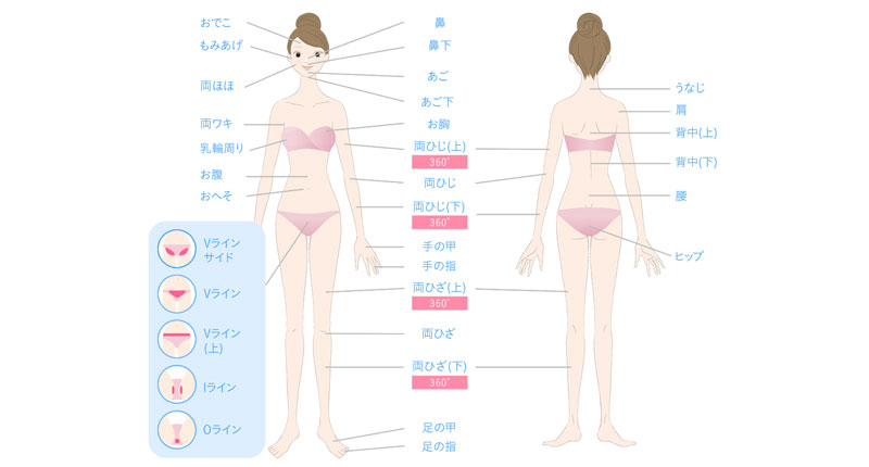 全身脱毛はどこからどこまでを指す 21年全身脱毛サロンパーフェクトガイド